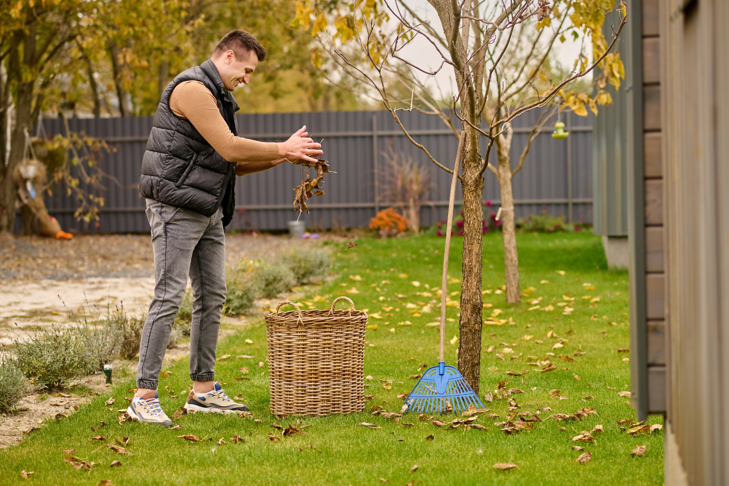 how to take care of backyard los angeles california with drought tolerant plants